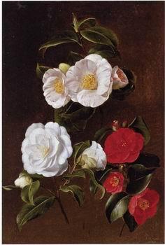 unknow artist Floral, beautiful classical still life of flowers 028 Sweden oil painting art